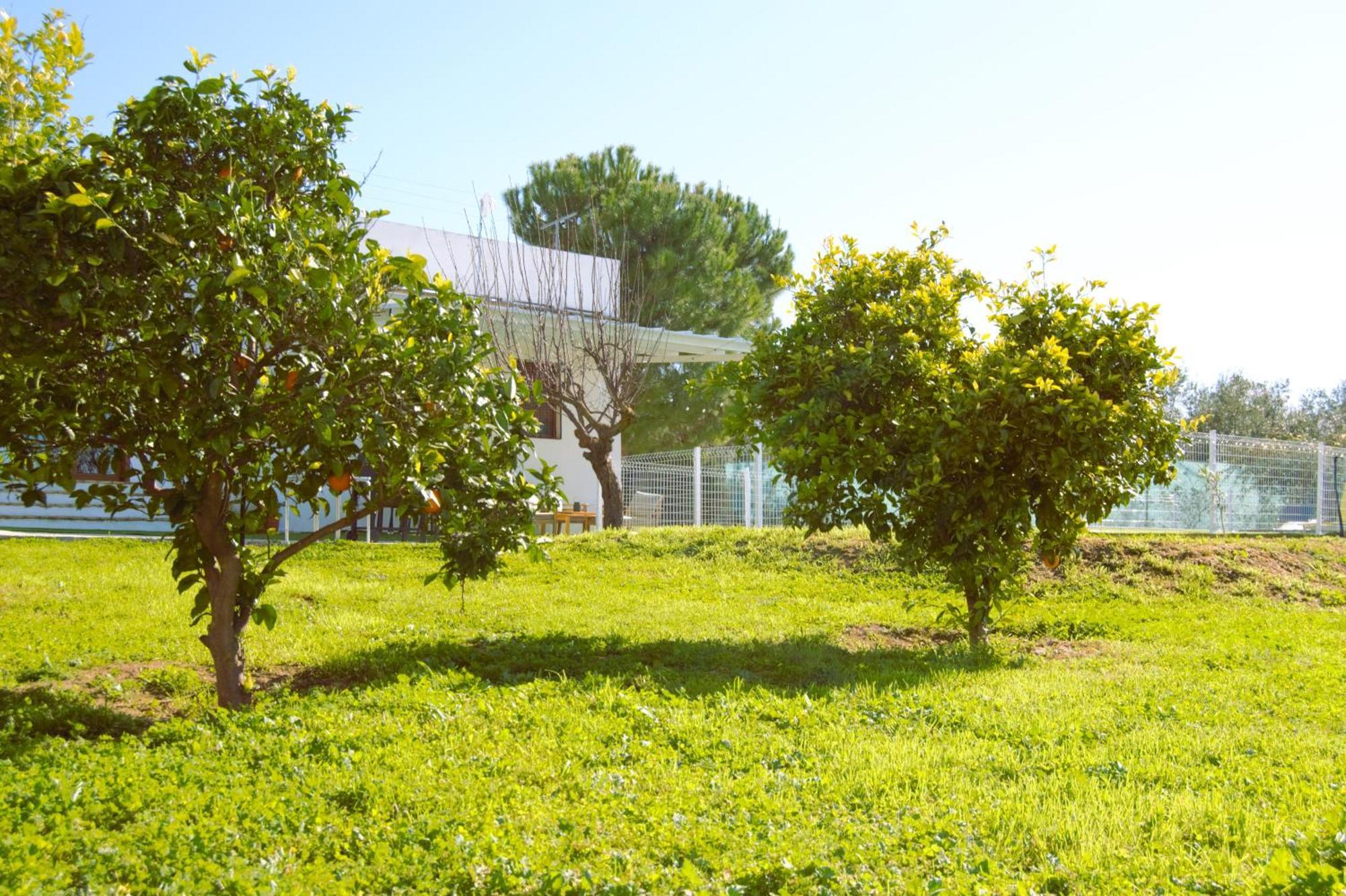 La Casa Del Carreron Villa Montilla Eksteriør bilde